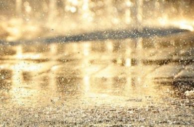 golden-rain